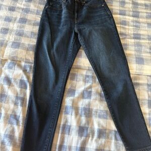Everlane Curvy high rise skinny jean